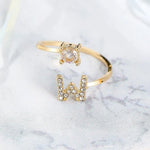 Load image into Gallery viewer, Infinity Ring (adjustable size)
