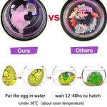 Load image into Gallery viewer, Easter Magic Hatching Growing Dinosaur Eggs
