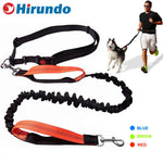 Load image into Gallery viewer, Hirundo Handsfree Bungee Dog Leash

