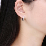 Load image into Gallery viewer, Matted stainless steel earrings
