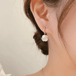 Load image into Gallery viewer, Exquisite Diamond Earrings
