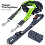 Load image into Gallery viewer, Hirundo Handsfree Bungee Dog Leash
