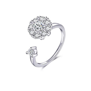 Zircon Rotary Ring
