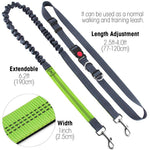 Load image into Gallery viewer, Hirundo Handsfree Bungee Dog Leash
