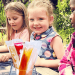 Load image into Gallery viewer, Freeze Pops Maker
