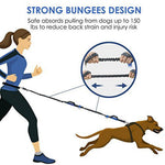 Load image into Gallery viewer, Hirundo Handsfree Bungee Dog Leash
