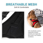 Load image into Gallery viewer, No-Pull Dog Harness, Adjustable Harness for Dogs
