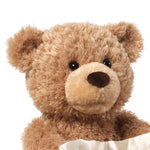 Load image into Gallery viewer, Peek-a-Boo Teddy Bear
