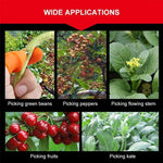 Load image into Gallery viewer, Pick vegetables, pick fruit thumb knife
