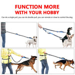 Load image into Gallery viewer, Hirundo Handsfree Bungee Dog Leash
