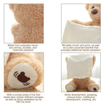 Load image into Gallery viewer, Peek-a-Boo Teddy Bear
