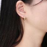 Load image into Gallery viewer, Matted stainless steel earrings
