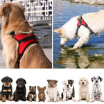 Load image into Gallery viewer, No-Pull Dog Harness, Adjustable Harness for Dogs
