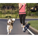 Load image into Gallery viewer, Hirundo Handsfree Bungee Dog Leash
