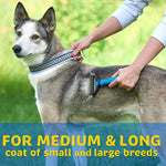 Load image into Gallery viewer, Pet Pro Grooming Tool
