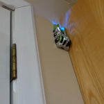 Load image into Gallery viewer, Anti-Gravity Wall Climbing

